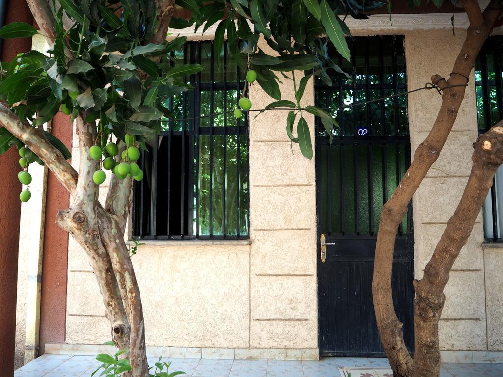 Manuhie Backpackers Lodge 바히르 다르 객실 사진