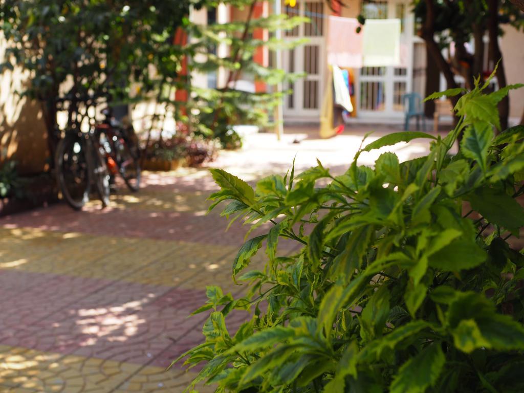 Manuhie Backpackers Lodge 바히르 다르 객실 사진